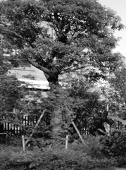 王益注册公司